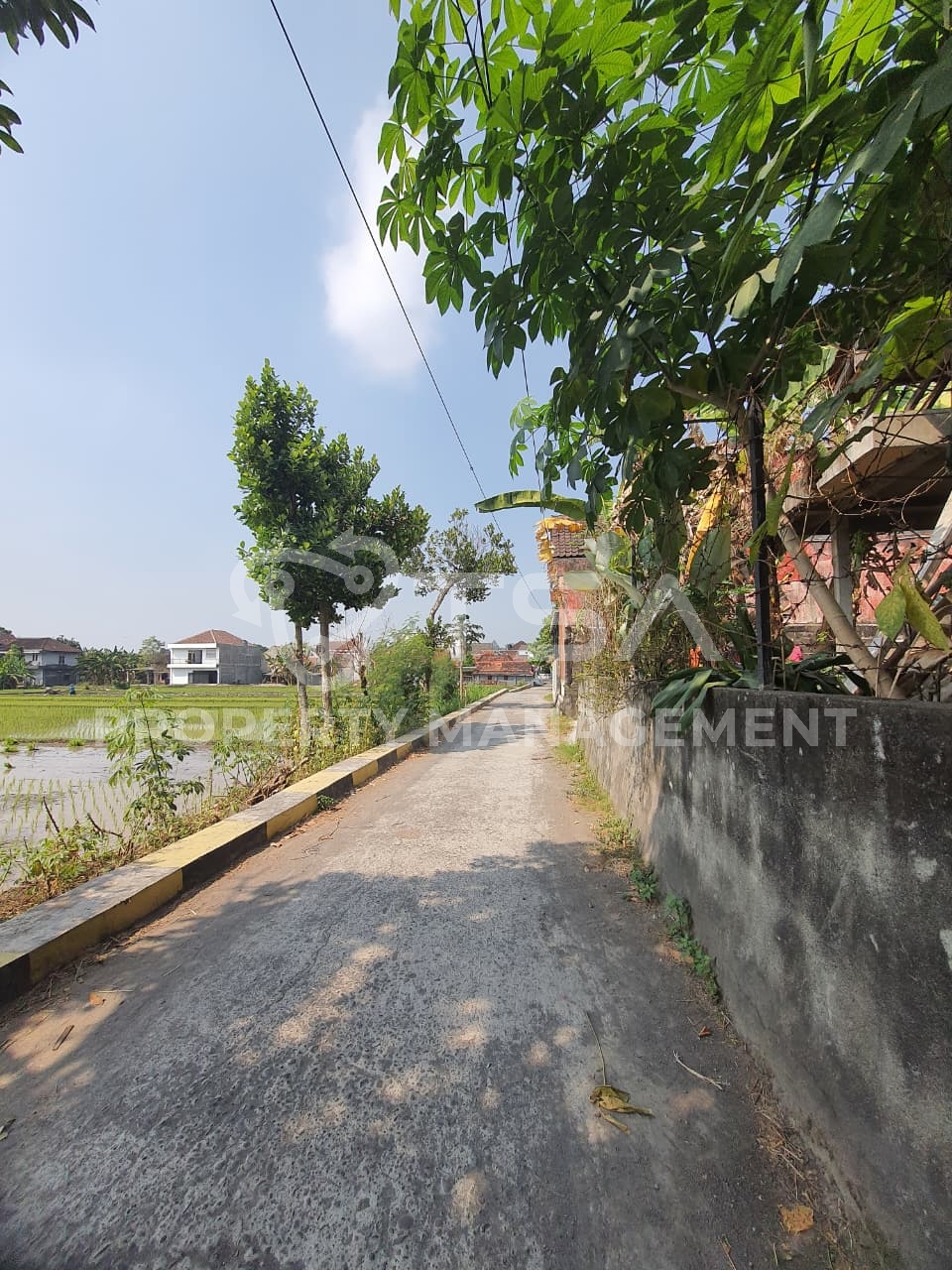Foto Tanah Sawah Dijual di Yogyakarta, Yogyakarta